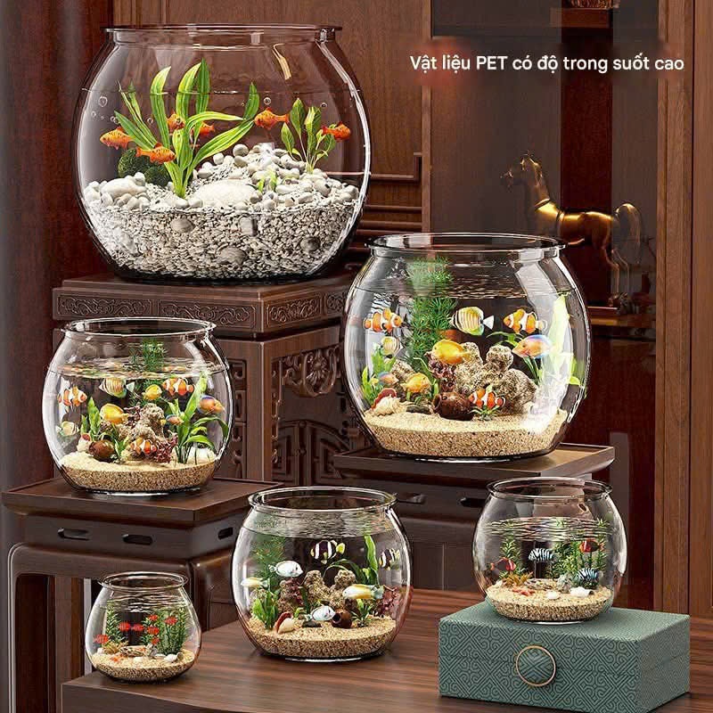 Bình kích phong thuỷ luân các phương vị linh thần